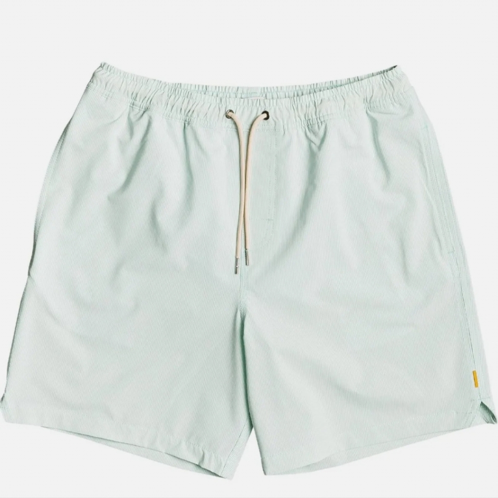 Quiksilver mint striped swim trunks